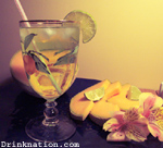 Cantaloupe Dizzy drink recipe