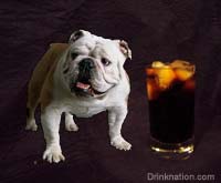 Bulldog Cocktail