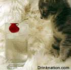 Fuzzball drink recipe