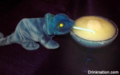Green Iguana Frozen Margarita drink recipe