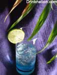 Michelle's Indigo drink recipe