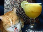 Squinting Daedelus drink recipe