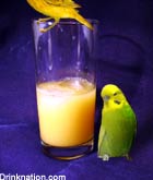 Yellow Bird drink recipe