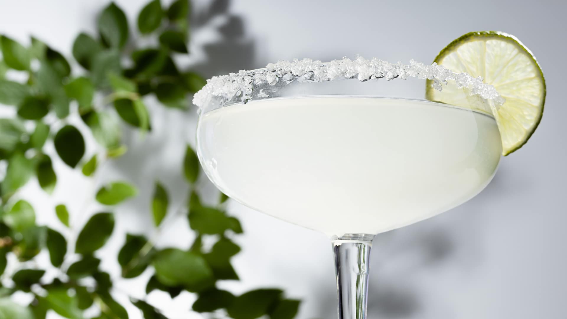 Margarita drink recipe