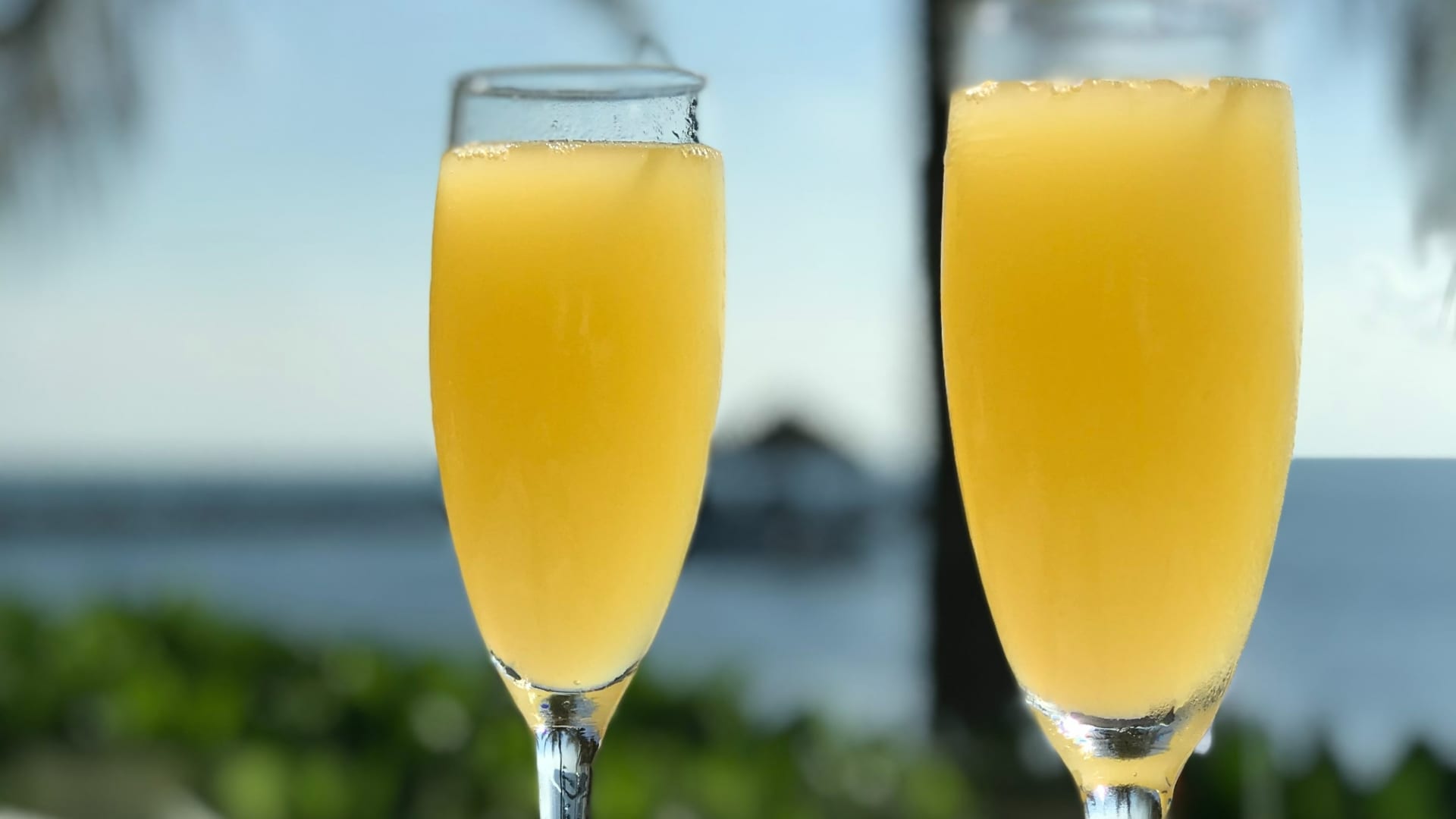 Mimosa drink recipe